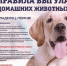 y3NE3tXZX8k.jpeg - Администрация г.о. Лобня