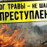 пал травы.jpg - Газета Лобня