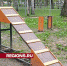 В Центральном парке Лобни модернизировали площадку для собак - Regions.Ru