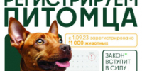 Жителям Лобни напомнили о необходимости регистрации домашних животных - Администрация г.о. Лобня