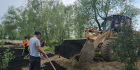 Саженцы яблонь укрепили черноземом при переносе сада в Лобне - Regions.Ru