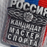 Лобненские гимнастки выполнили нормативы на взрослые и юношеские разряды - Regions.Ru